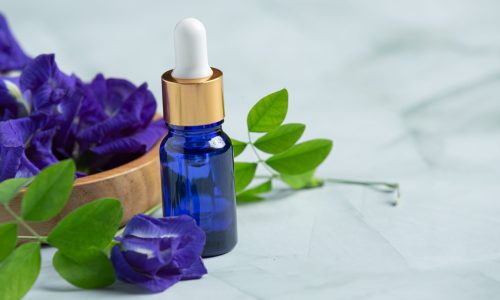 Edward Bach Flower Remedies – An Introduction